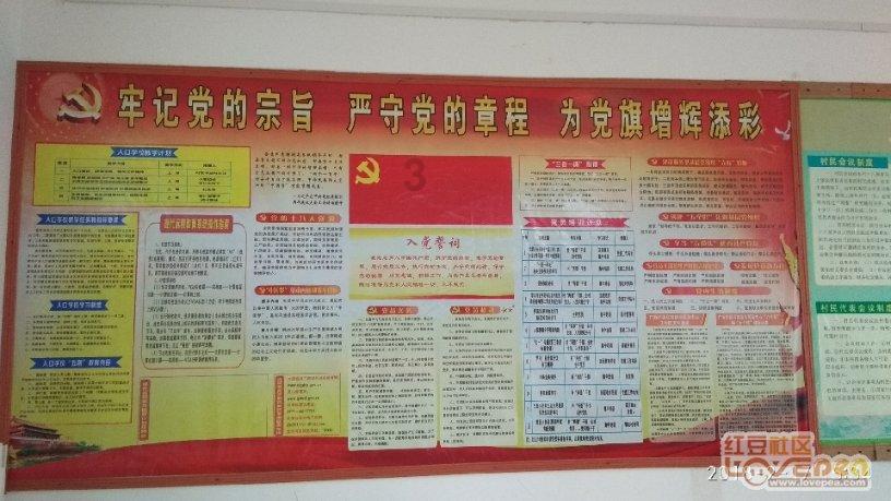 泰安市代表队在山东省第七届冬季全民健身运动会短道速度轮滑比赛中荣获4金5银3铜